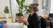 Орхидея и антуриум скажут вам "спасибо": вот что необходимо делать с комнатными растениями