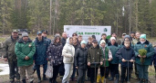 Во Владимирской области высадили более 30 тысяч деревьев в рамках акции "Сад памяти"