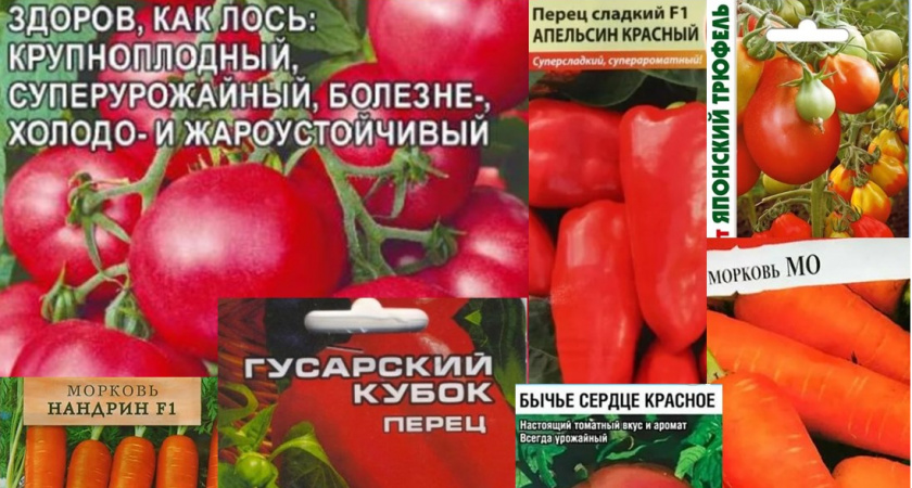 Во Владимирской области забраковали томатного "Лося" и еще 127 сортов семян