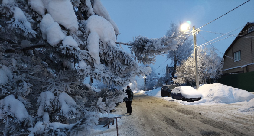 Неутешительный прогноз: февраль встретит нас аномальными холодами