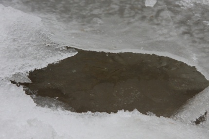 Новости России: Двое подростков провалились под лед и погибли