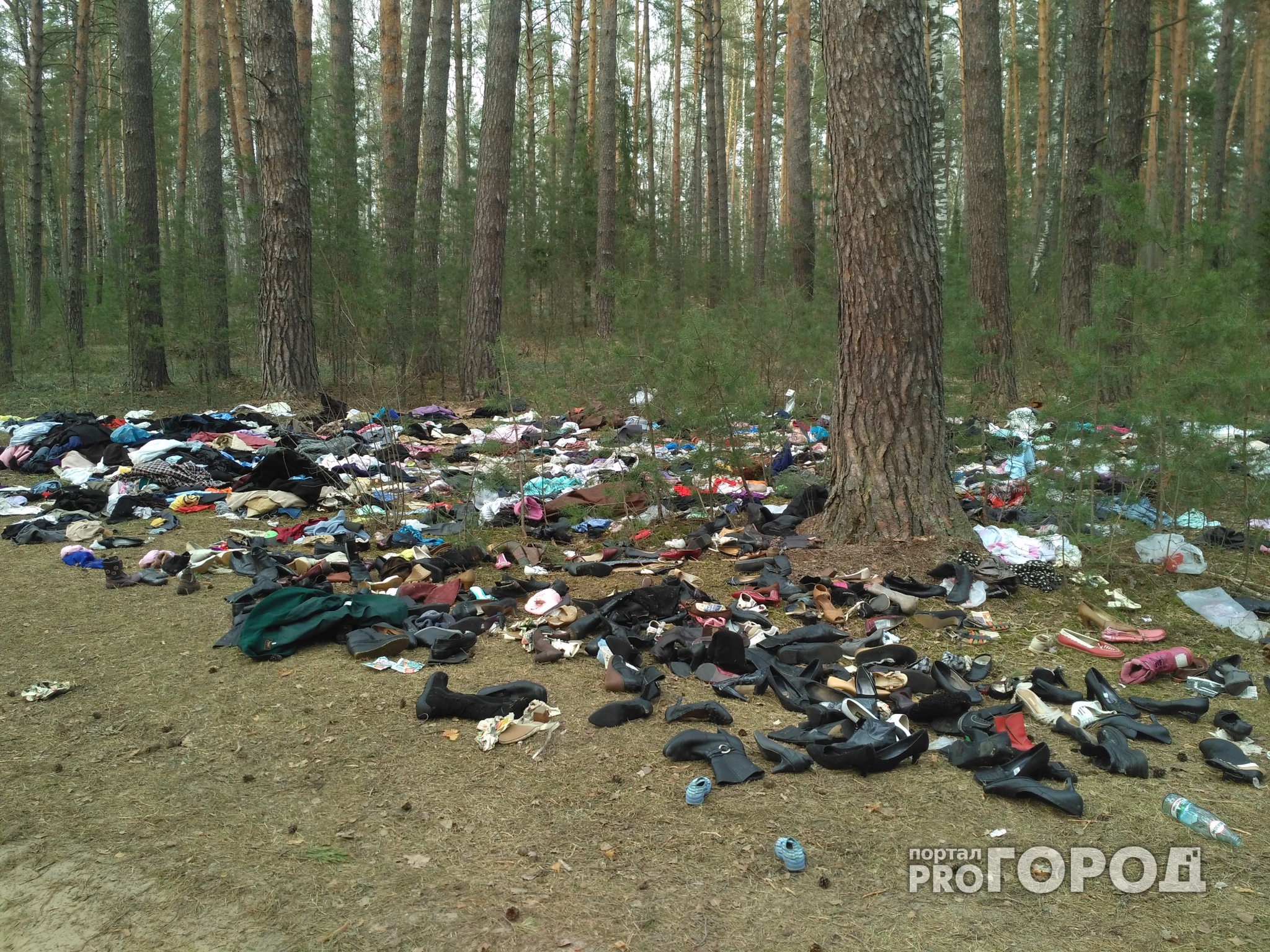 В лесу под Оргтрудом комиссионный магазин организовал свалку одежды и обуви