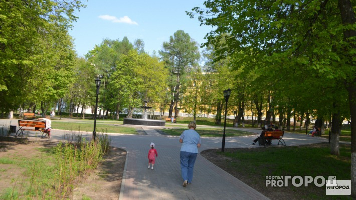 В восточном районе Владимира обустроят комфортную зону для отдыха горожан