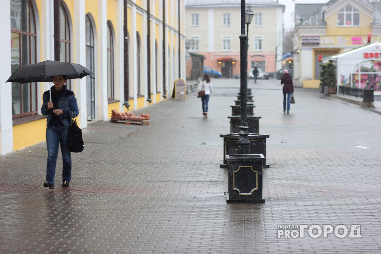 Погода во Владимире: дожди, дожди, сплошные дожди