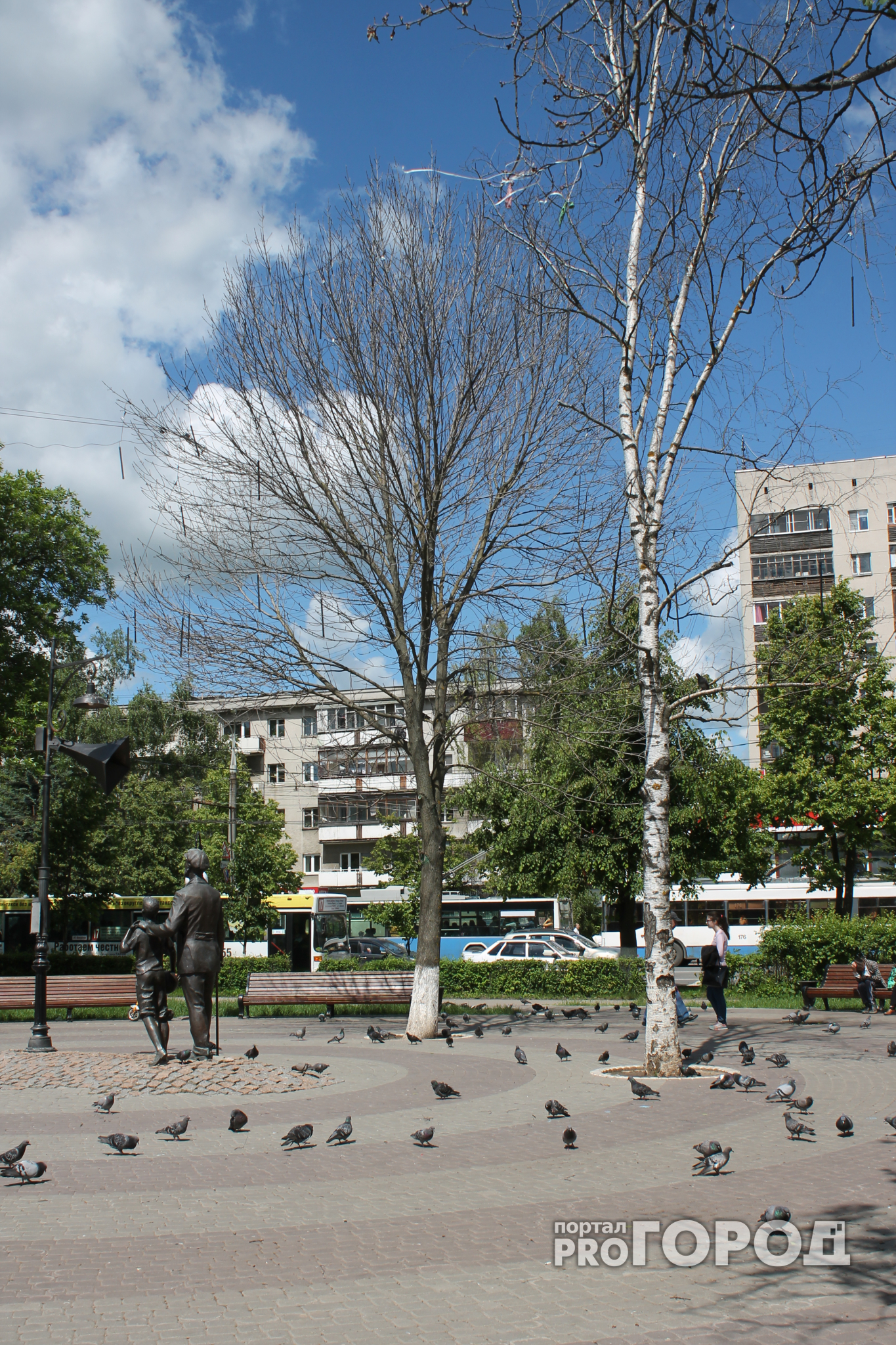 У памятника диктору Левитану сухие деревья угрожают здоровью горожан