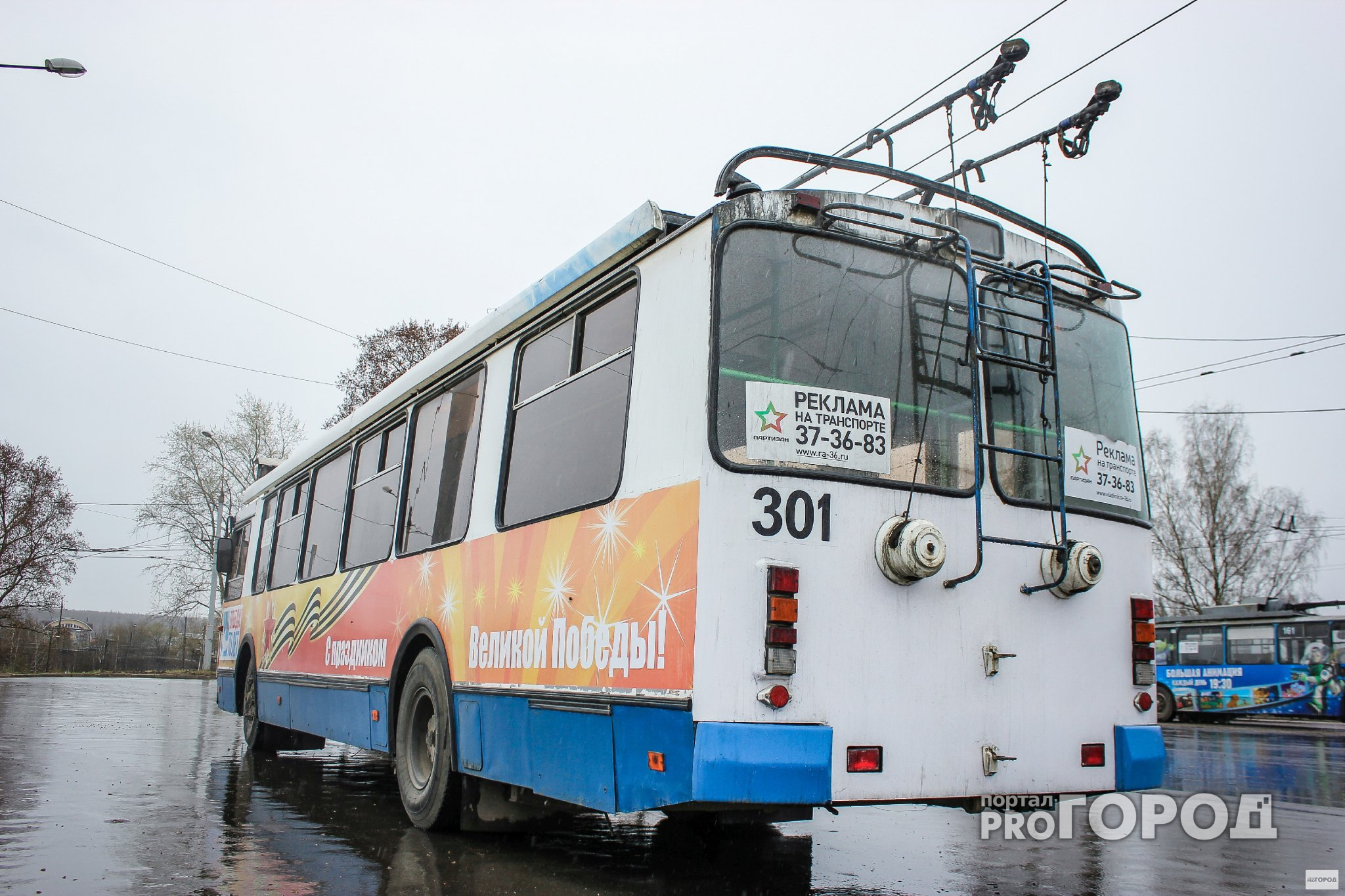 Во Владимирском троллейбусе пострадал 5-летний ребенок