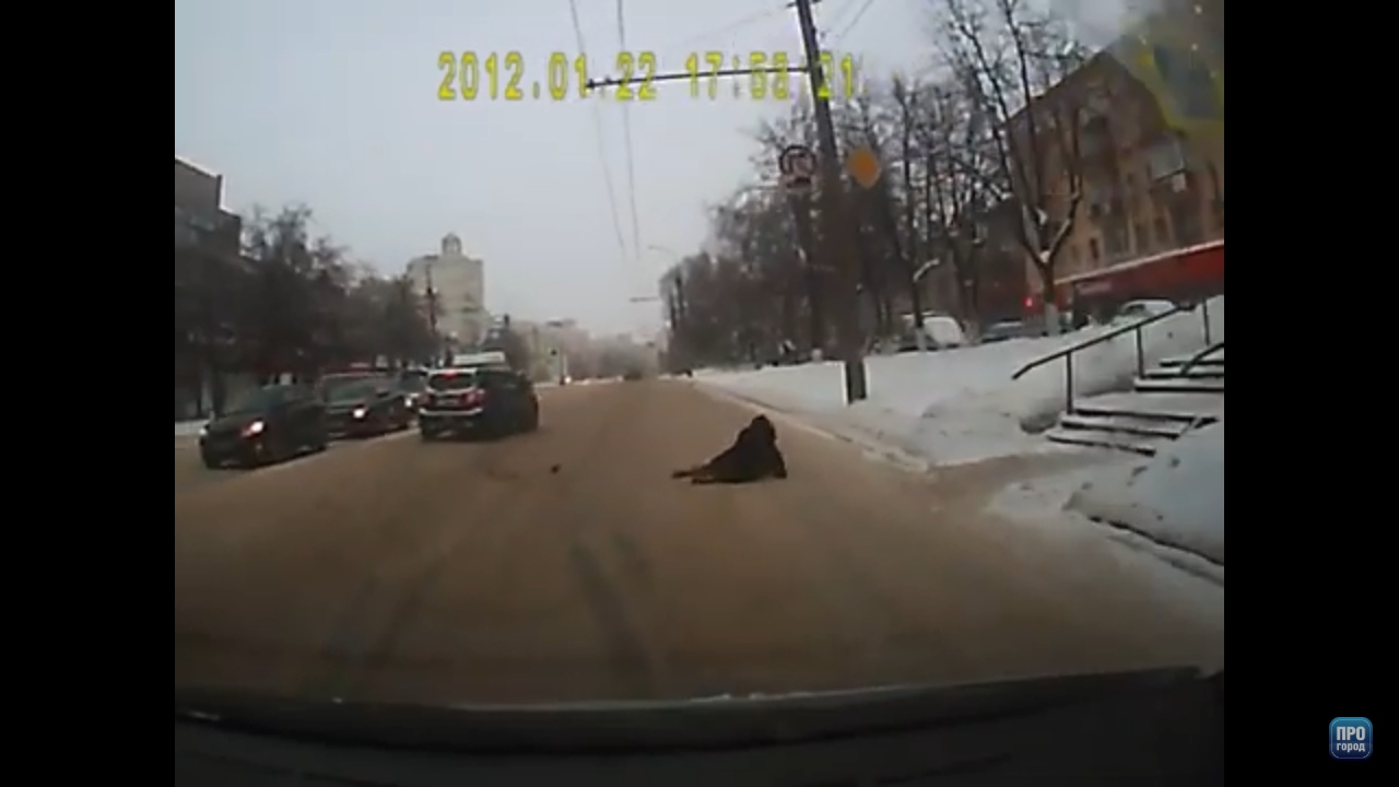 Во Владимире девушку сбил легковой автомобиль (видео)