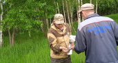 Во Владимирской области в лесах разложили вакцину от бешенства для лис и барсуков