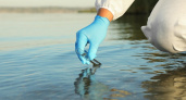 Природоохранный прокурор требует от «Владимирводоканала» улучшить очистку сточных вод