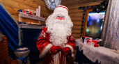 Владимирцев приглашают отметить день рождения Деда Мороза