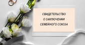 Молодоженам Владимирской область могут предложить на выбор заключение брака или семейного союза