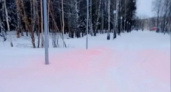 В Добросельском парке Владимира снег окрасился в розовый цвет