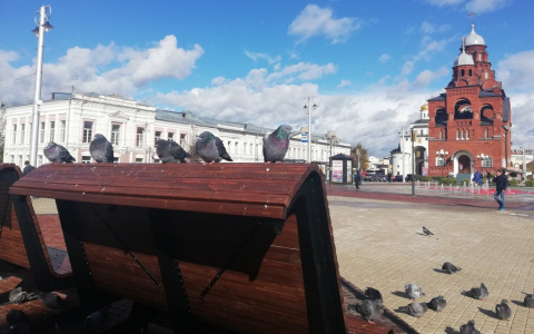 Горожанин: "Новые скамейки на Театральной площади постоянно украшены пометом"