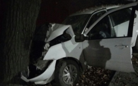 В Александрове автомобиль влетел в дерево, есть пострадавший