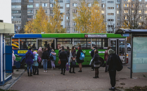 Транспортный коллапс во Владимире: автобусы ходят не по графику