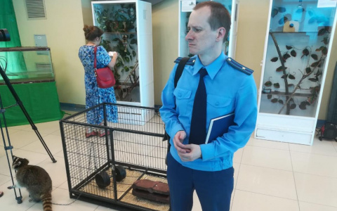 Прокуратура Мурома выявила незначительные нарушения в контактном зоопарке