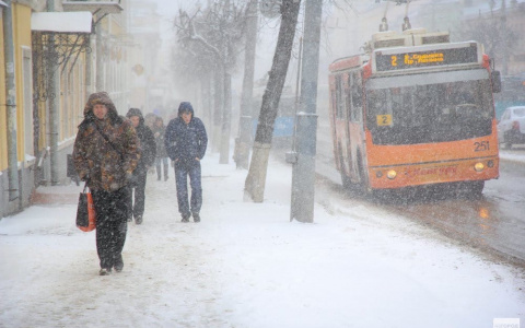 Синоптики предупредили о начале "европейской" зимы во Владимире