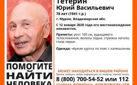 Во Владимирской области пропал 78-летний мужчина. Помогите в поисках!