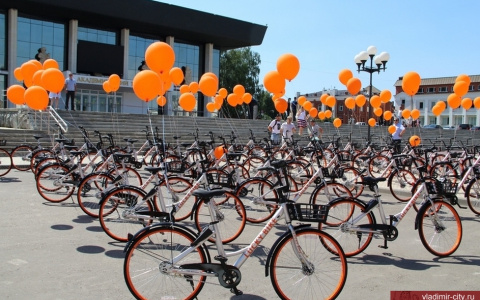 Власти в день физкультурника подарят владимирцам бесплатный велошеринг