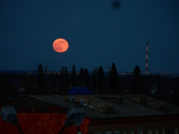 «Кровавую» луну смогут увидеть жители Владимира 7 августа