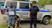 Во Владимирской области выбрали «Лучшего по профессии» среди полицейских-кинологов