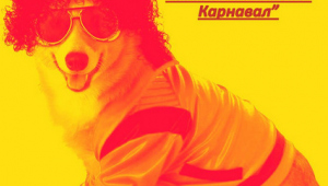 Собака-обнимака