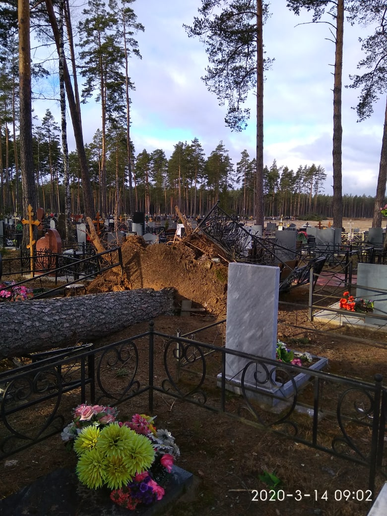 Когда на кладбищах включат воду. Кладбище Улыбышево во Владимире. Аллея славы на кладбище Улыбышево. Новое кладбище во Владимире Улыбышево.