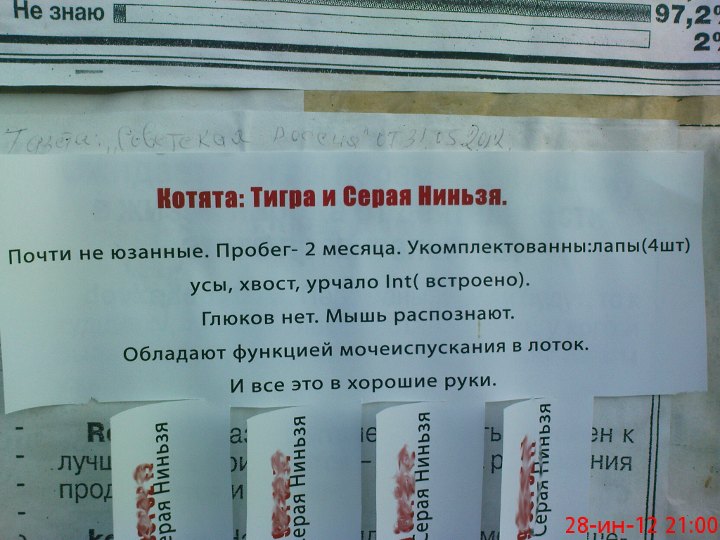 dsc00683.jpg