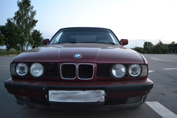 dsc_0293.jpg