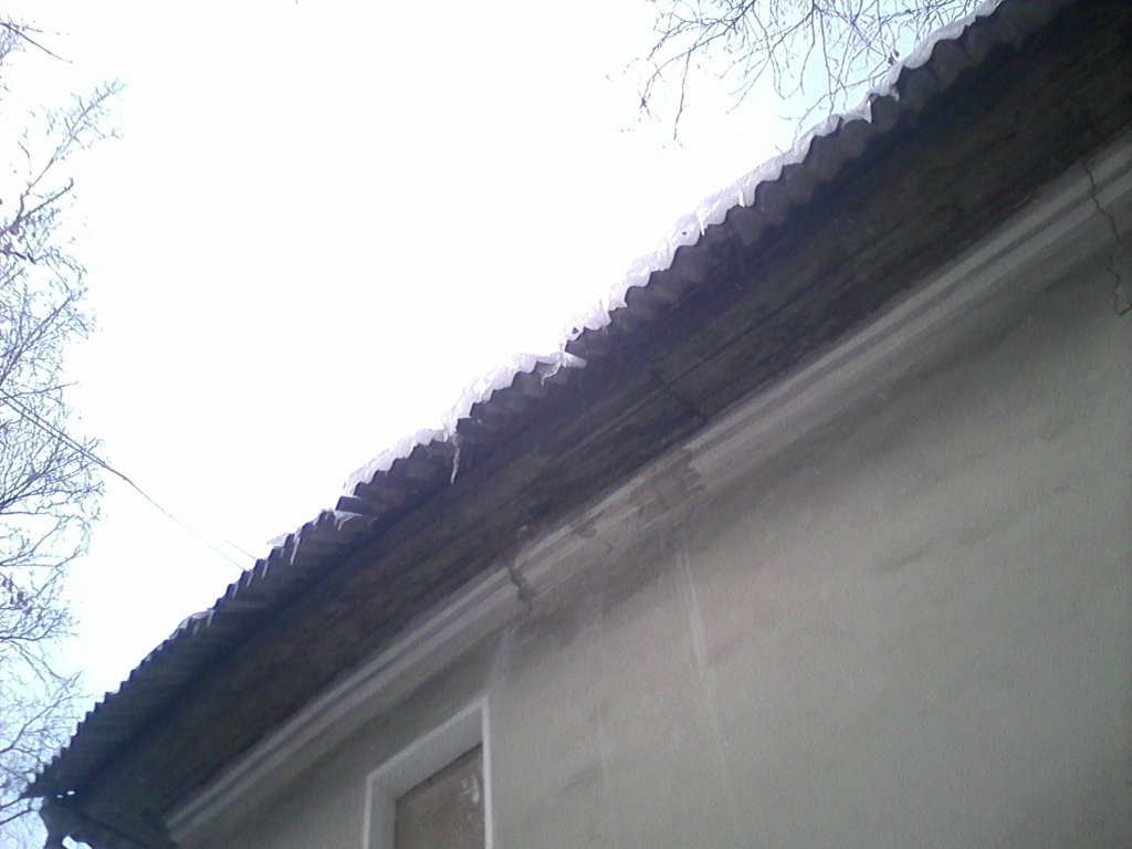 Изображение к жалобе