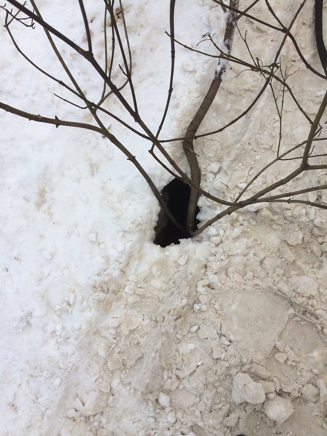 Изображение к жалобе