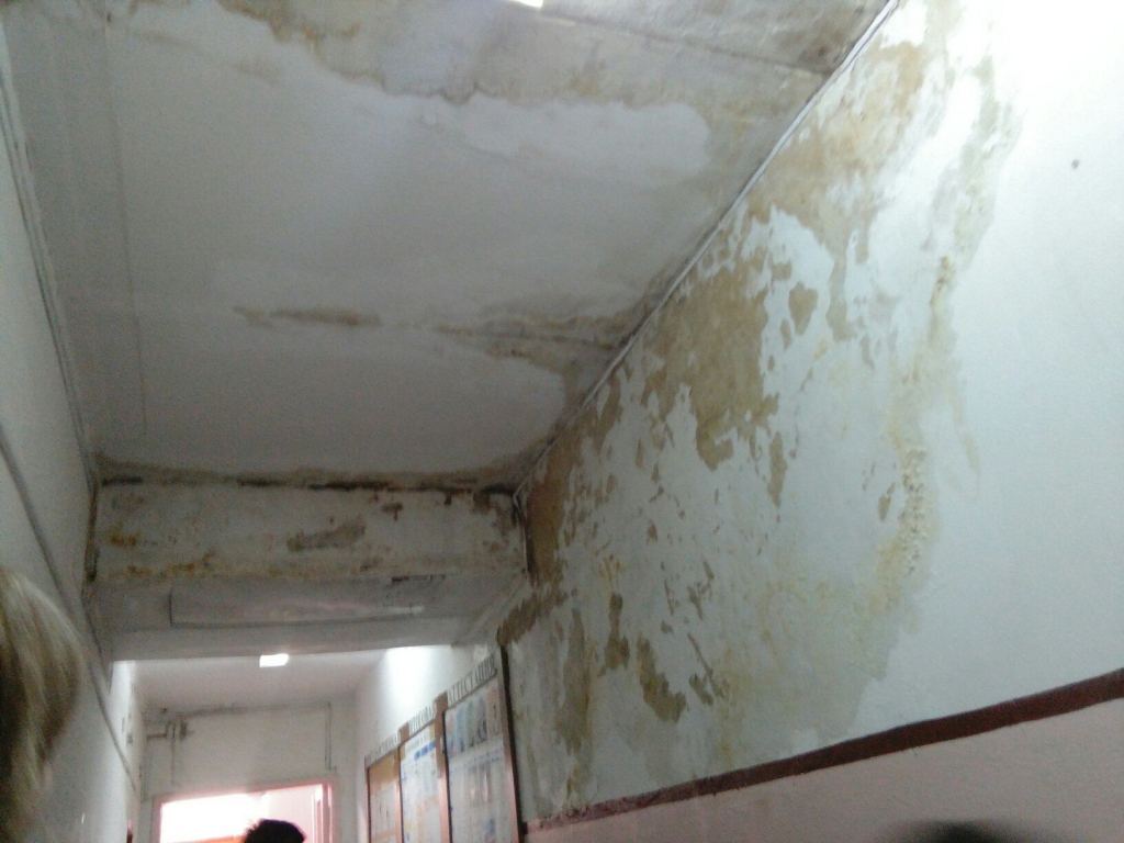 Изображение к жалобе