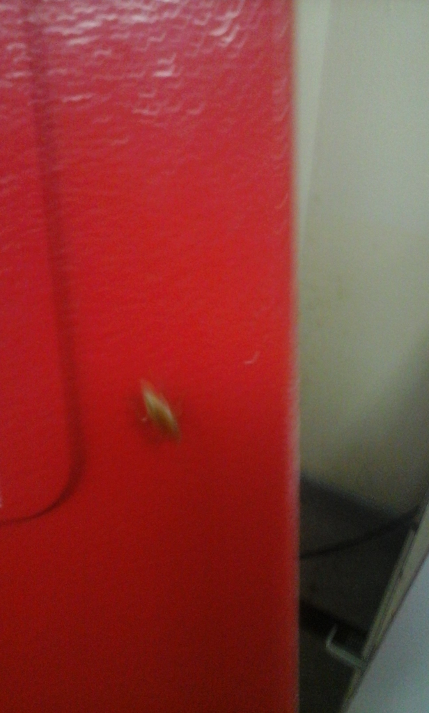 Изображение к жалобе