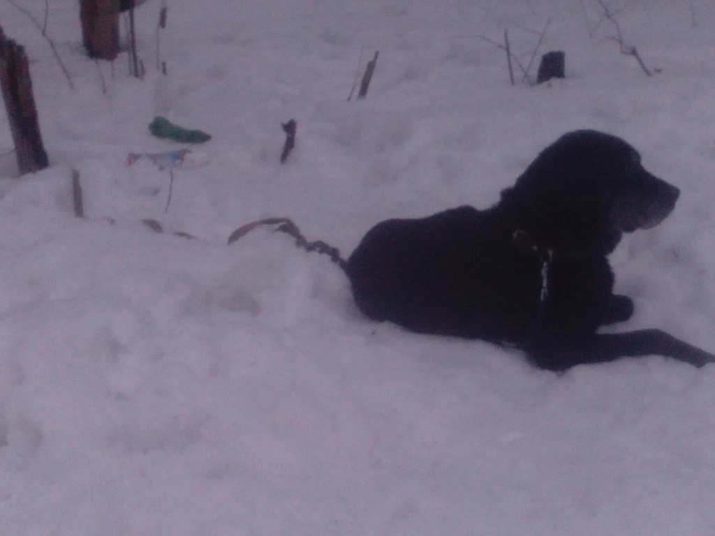 Изображение к жалобе