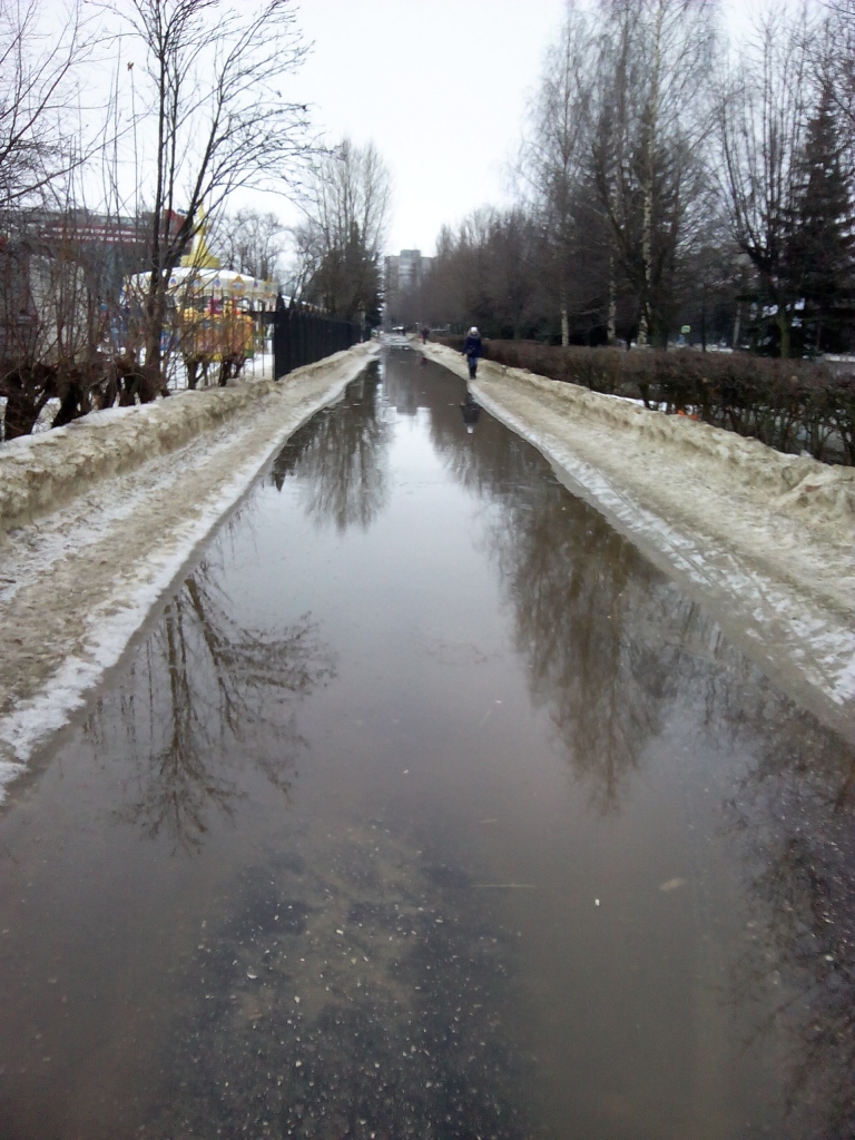 Изображение к жалобе