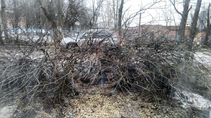 Изображение к жалобе