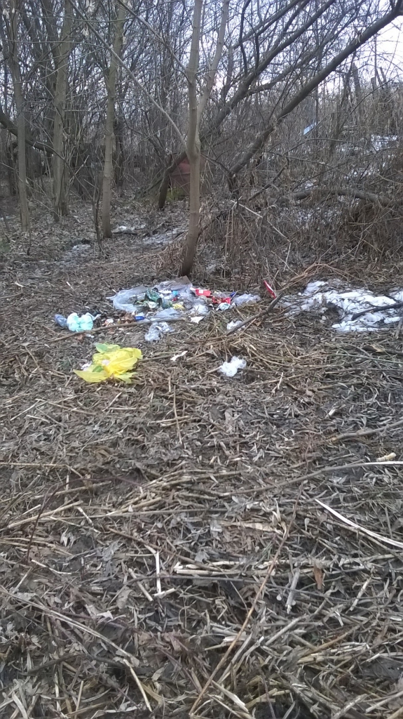 Изображение к жалобе