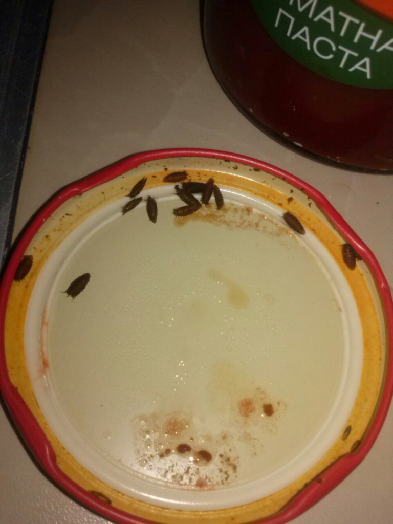 Изображение к жалобе