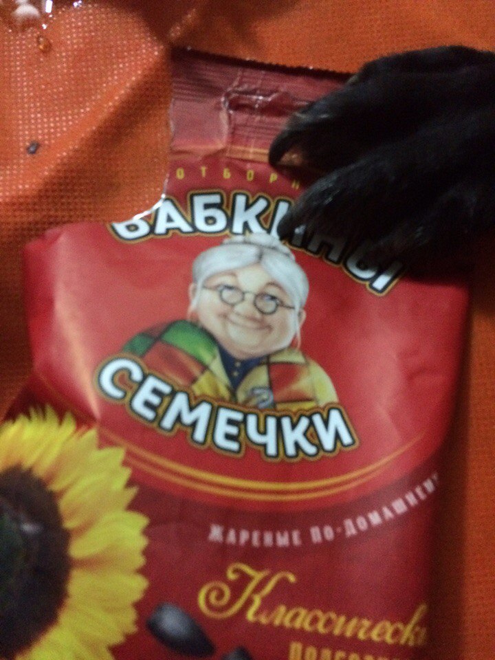 Изображение к жалобе