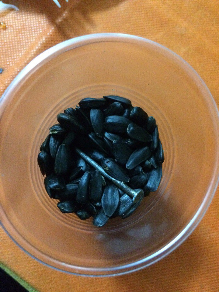 Изображение к жалобе