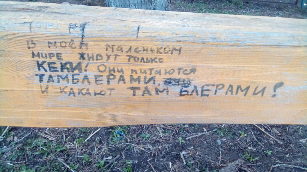 Изображение к жалобе