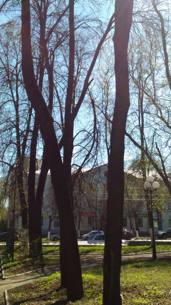 Изображение к жалобе