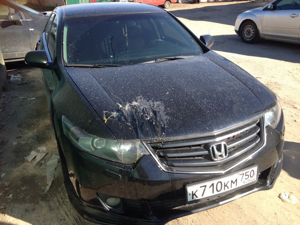 Изображение к жалобе