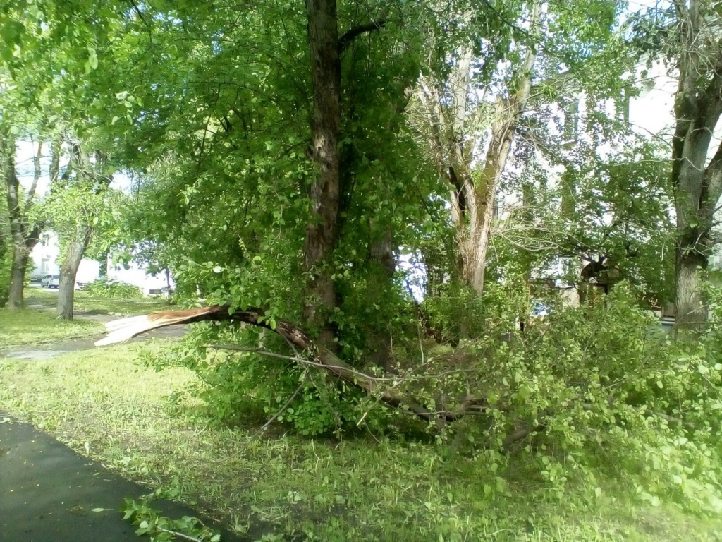 Изображение к жалобе