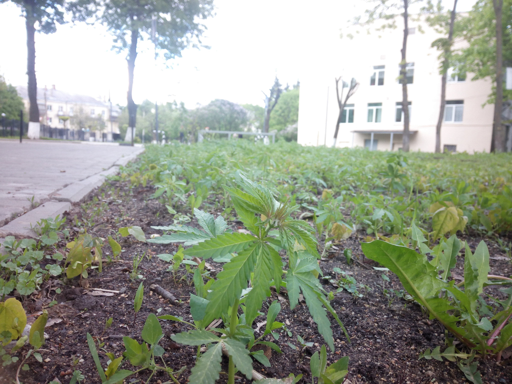 Изображение к жалобе