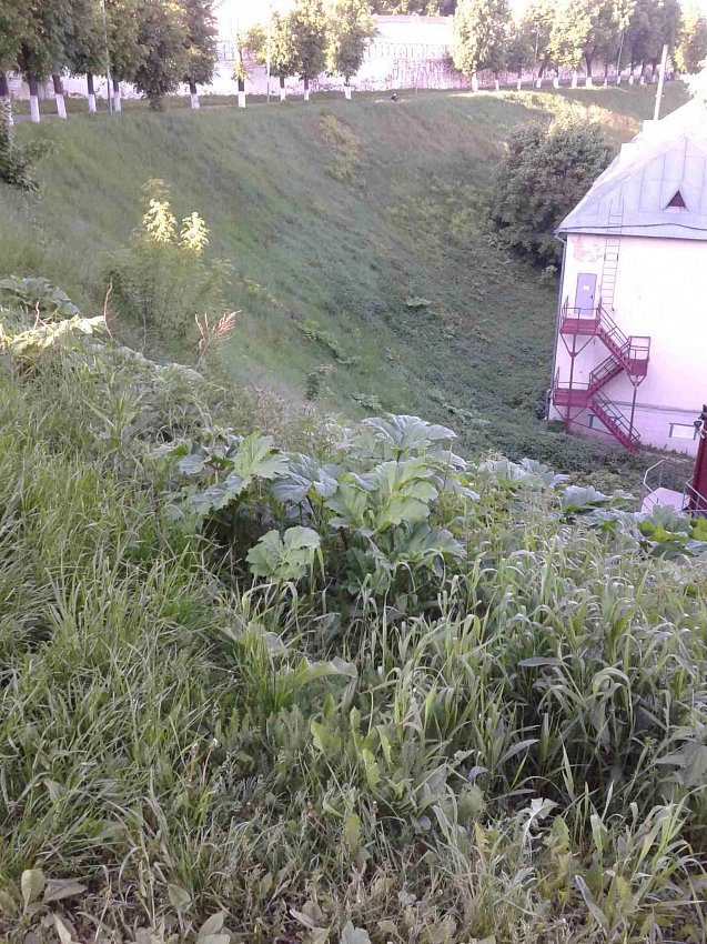 Изображение к жалобе