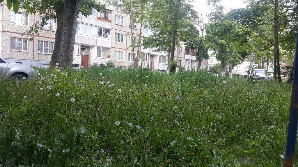 Изображение к жалобе