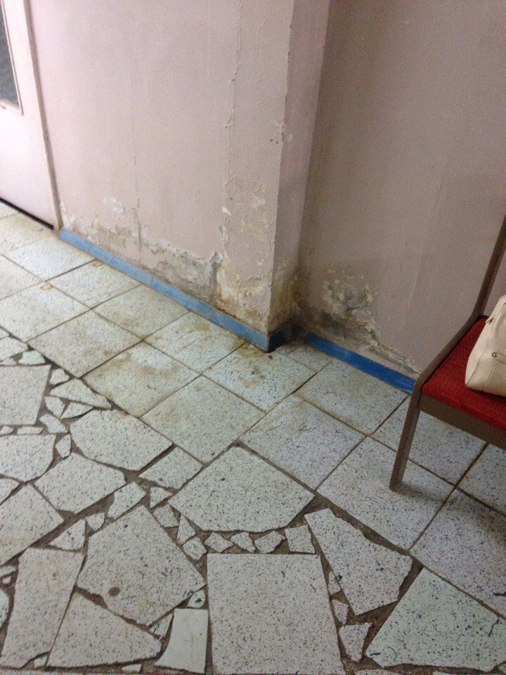 Изображение к жалобе