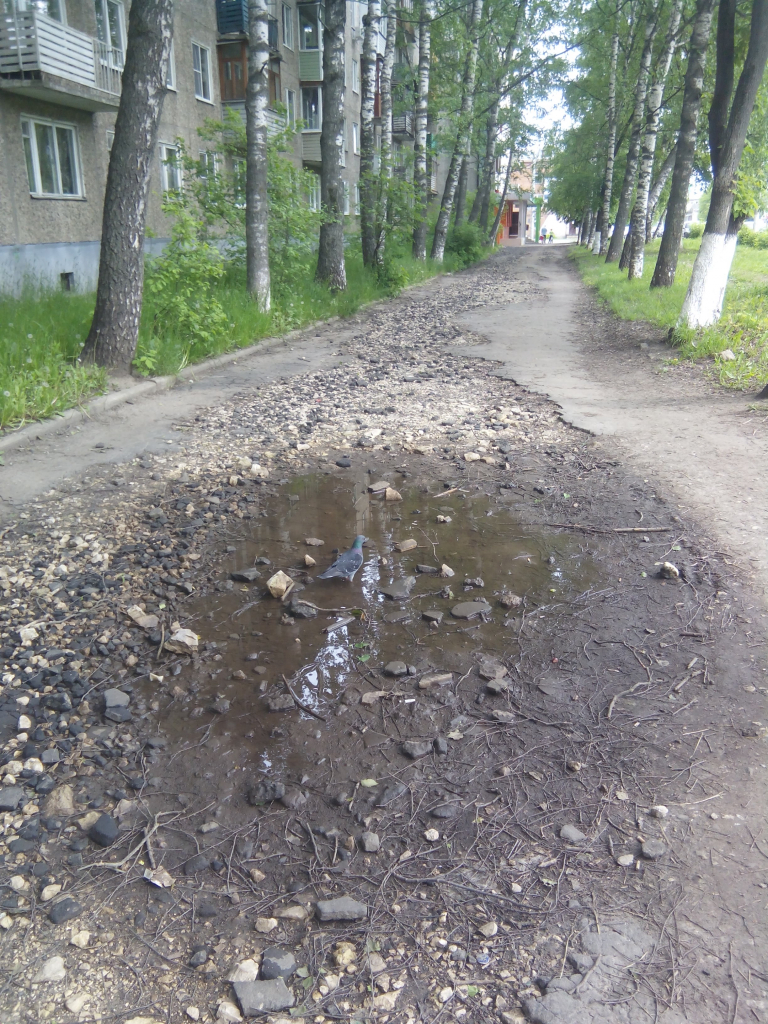 Изображение к жалобе