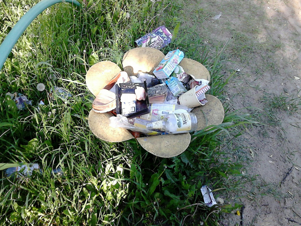 Изображение к жалобе